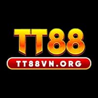 TT VN - Developer Profile on DoSelect