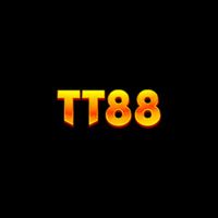 TT EIGHT EIGHT - Developer Profile on DoSelect