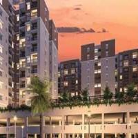 Provident Botanico - Developer Profile on DoSelect