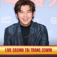 CEO WIN LE HUU KHANH - Developer Profile on DoSelect