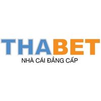 Thabet diy