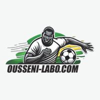 Trang Ca Cuoc Bong da OUSSENILABO - Developer Profile on DoSelect