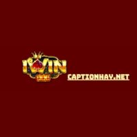 Cong Game iWin - Developer Profile on DoSelect